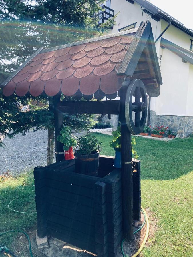 Pensiunea Casa Ady 브란 외부 사진