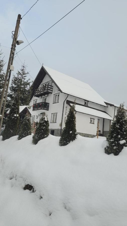 Pensiunea Casa Ady 브란 외부 사진